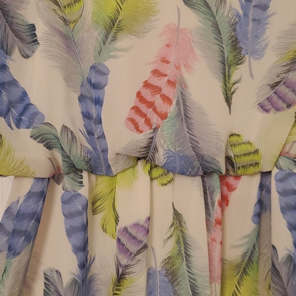 Feather Dress - Picture 4 of 6